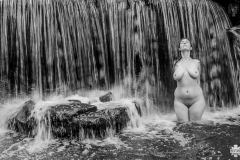 img_5664-2