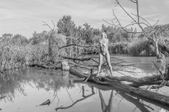 img_5956