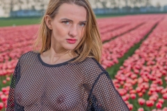 _MG_8772