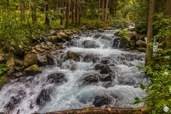 _MG_5382