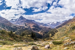 _MG_5430-Pano