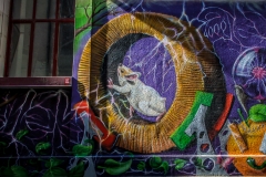 img_8431