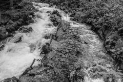 img_7619