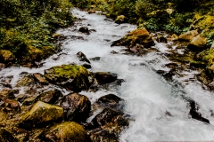 img_7626