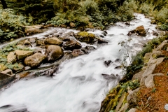 img_7636