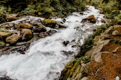 img_7639