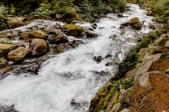 img_7641