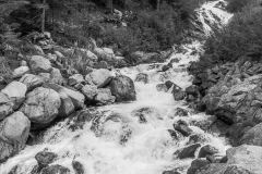 img_7673