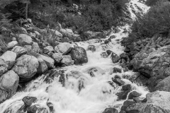 img_7675