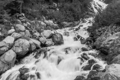 img_7676