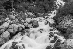 img_7677