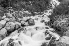 img_7678