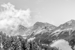 img_2594
