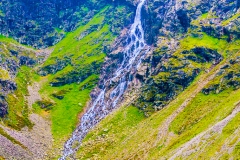 IMG_6696