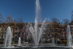 IMG_2416