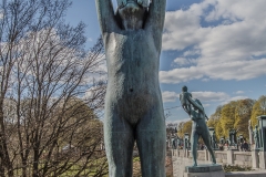 IMG_2599