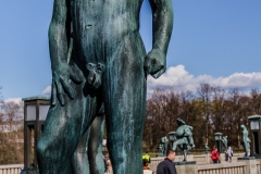 IMG_2645
